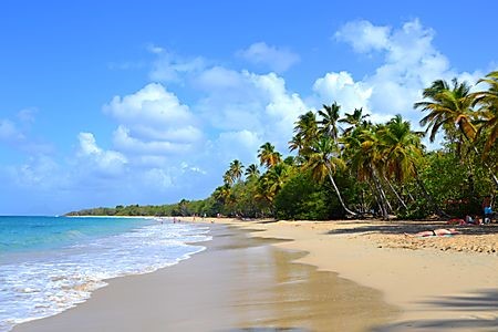 Tchat Martinique